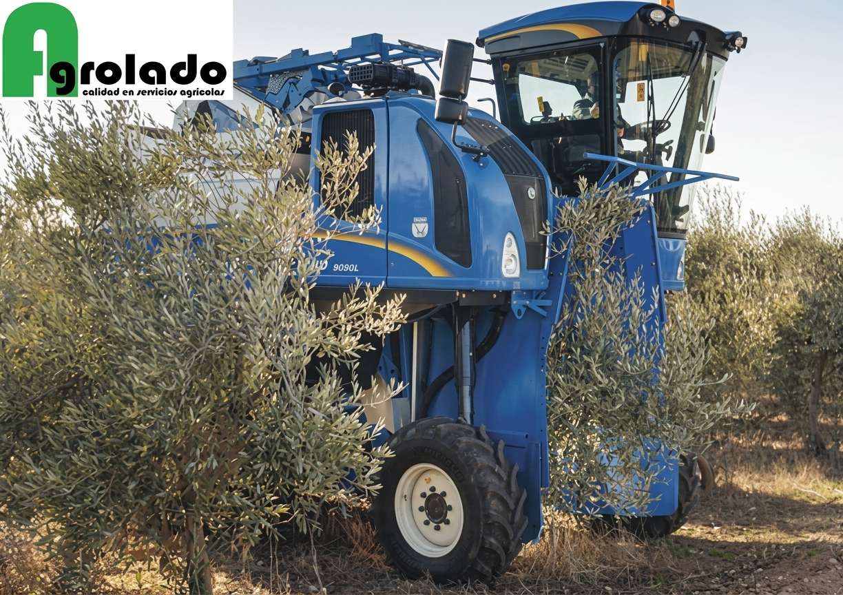 Servicio integral olivar Agrolado